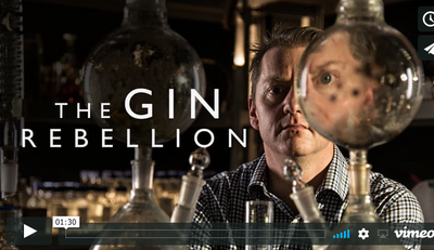 Southern Wild's distiller George Burgess - The Gin Rebellion