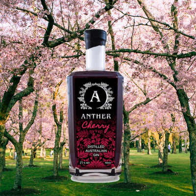 Anther Cherry Gin